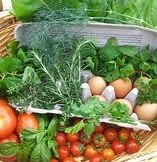 vegetable