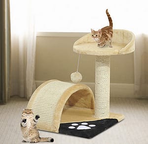 cat bed